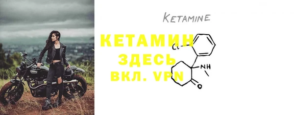 шишки Армянск